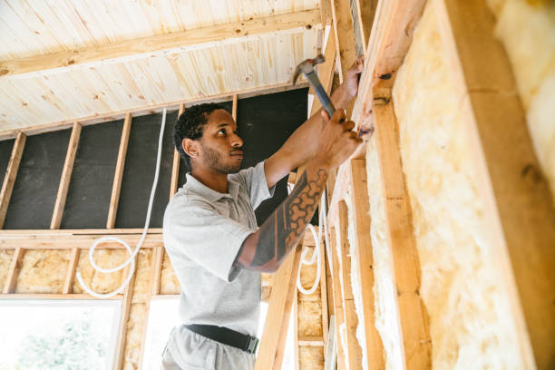 Best Wall Insulation Contractor  in Hazlehurst, MS
