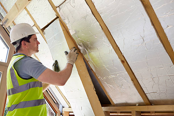 Best Soundproof Insulation Installation  in Hazlehurst, MS